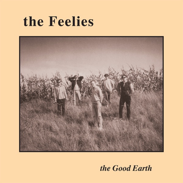The Feelies The Good Earth