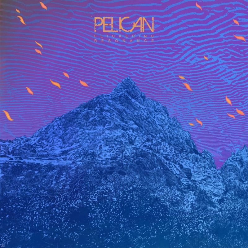 pelican