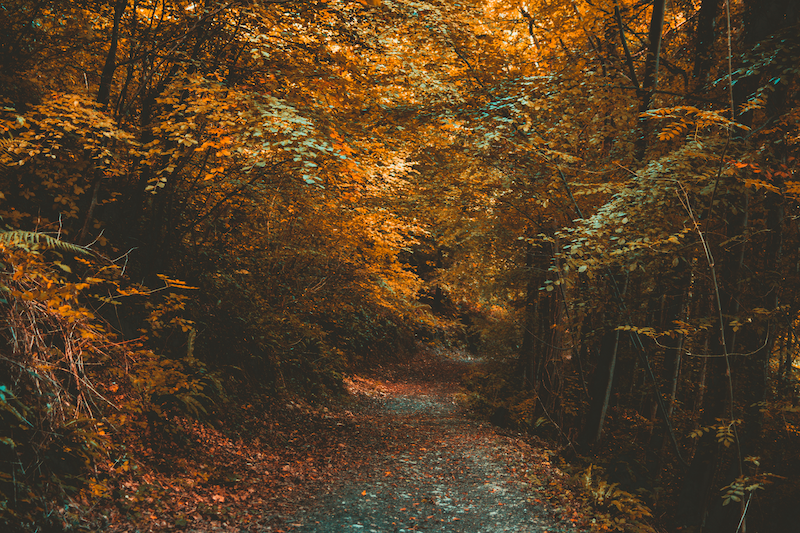 fall